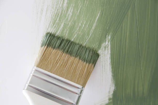 Best Mold Remediation for Healthcare Facilities  in Ladson, SC