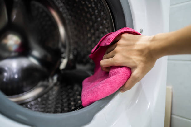 Best Mold Damage Restoration  in Ladson, SC