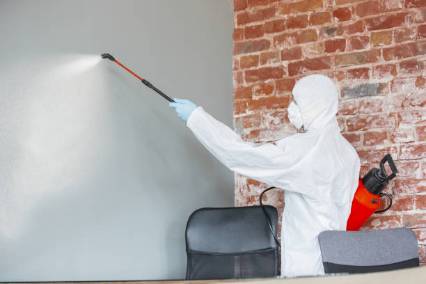 Best Environmental Consulting for Mold Prevention  in Ladson, SC
