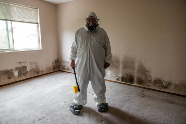 Best Air Quality Testing for Mold Spores  in Ladson, SC