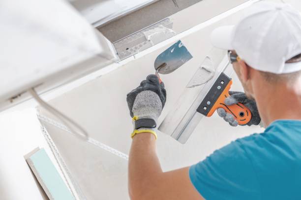 Best Industrial Mold Remediation  in Ladson, SC